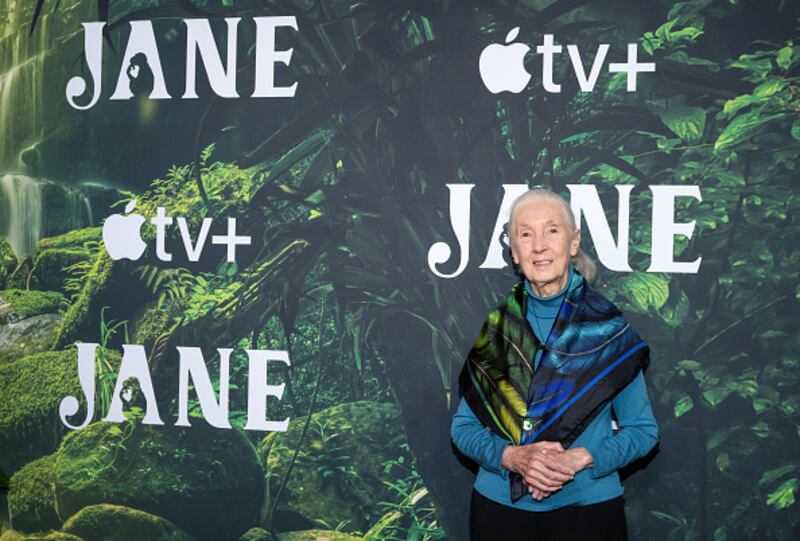 Dr. Jane Goodall