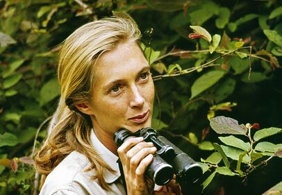 Dr. Jane Goodall