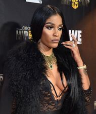 ATLANTA, GA - JANUARY 05:  TV personality Joseline Hernandez attends "Growing Up Hip Hop" Atlanta premiere at SCADshow on January 5, 2016 in Atlanta, Georgia.  (Photo by Paras Griffin/FilmMagic)